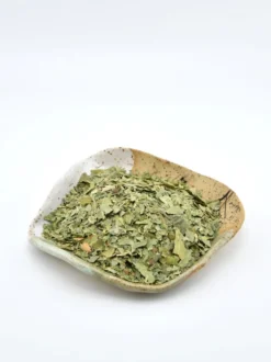 Neem liść