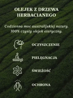 Olejek z drzewa herbacianego 100% eteryczny Nanga
