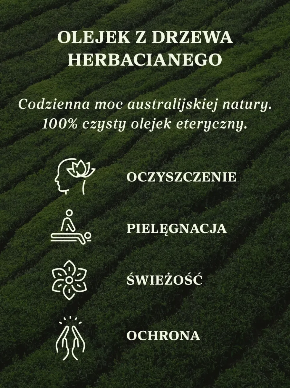 Olejek z drzewa herbacianego 100% eteryczny Nanga