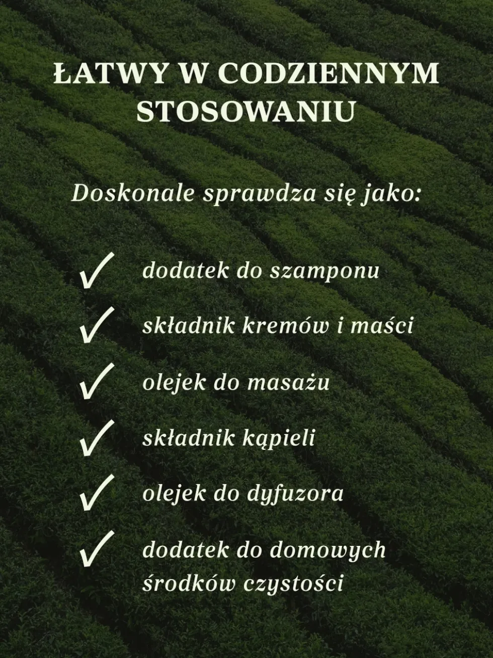 Olejek z drzewa herbacianego 100% eteryczny Nanga