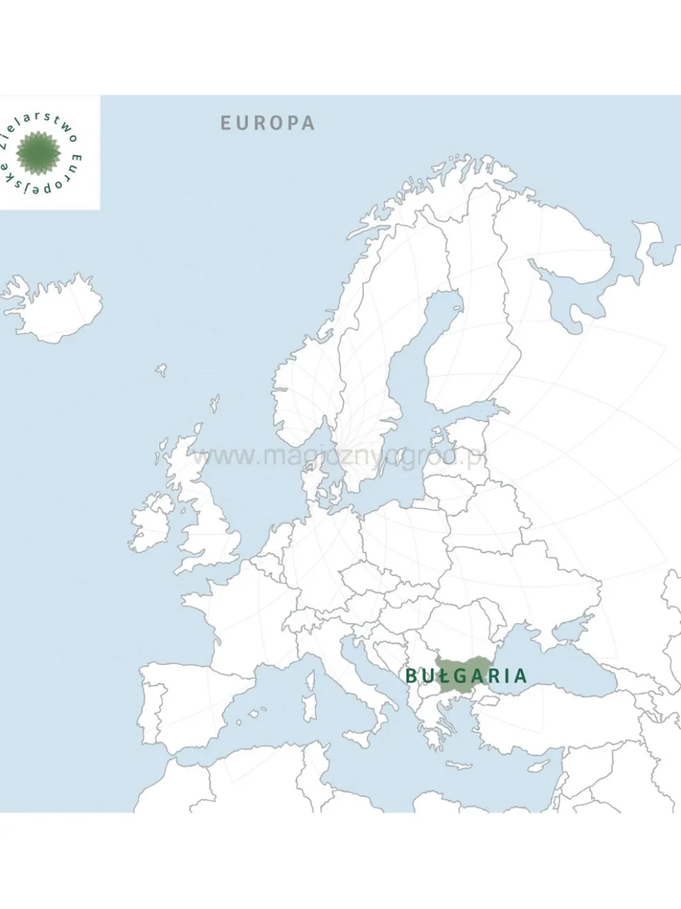 Olejek z róży damasceńskiej 5% w jojobie Nanga