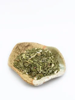 Pachnotka zwyczajna