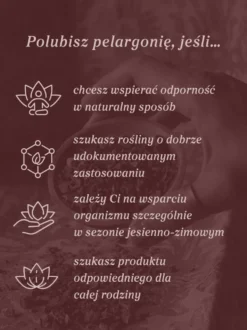 Pelargonia afrykańska wyciąg ziołowy 1:5