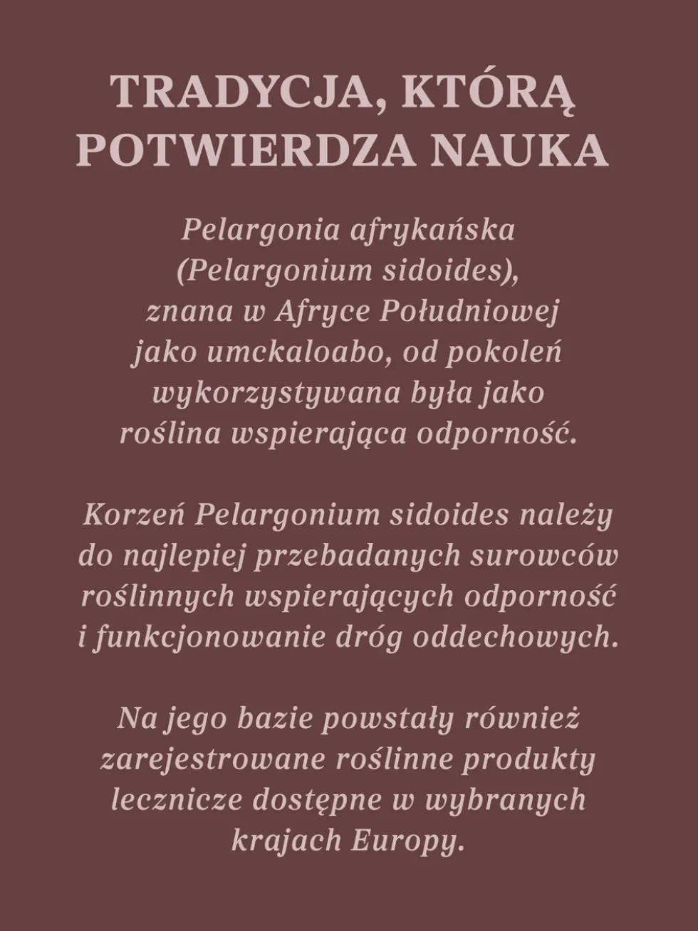Pelargonia afrykańska wyciąg ziołowy 1:5