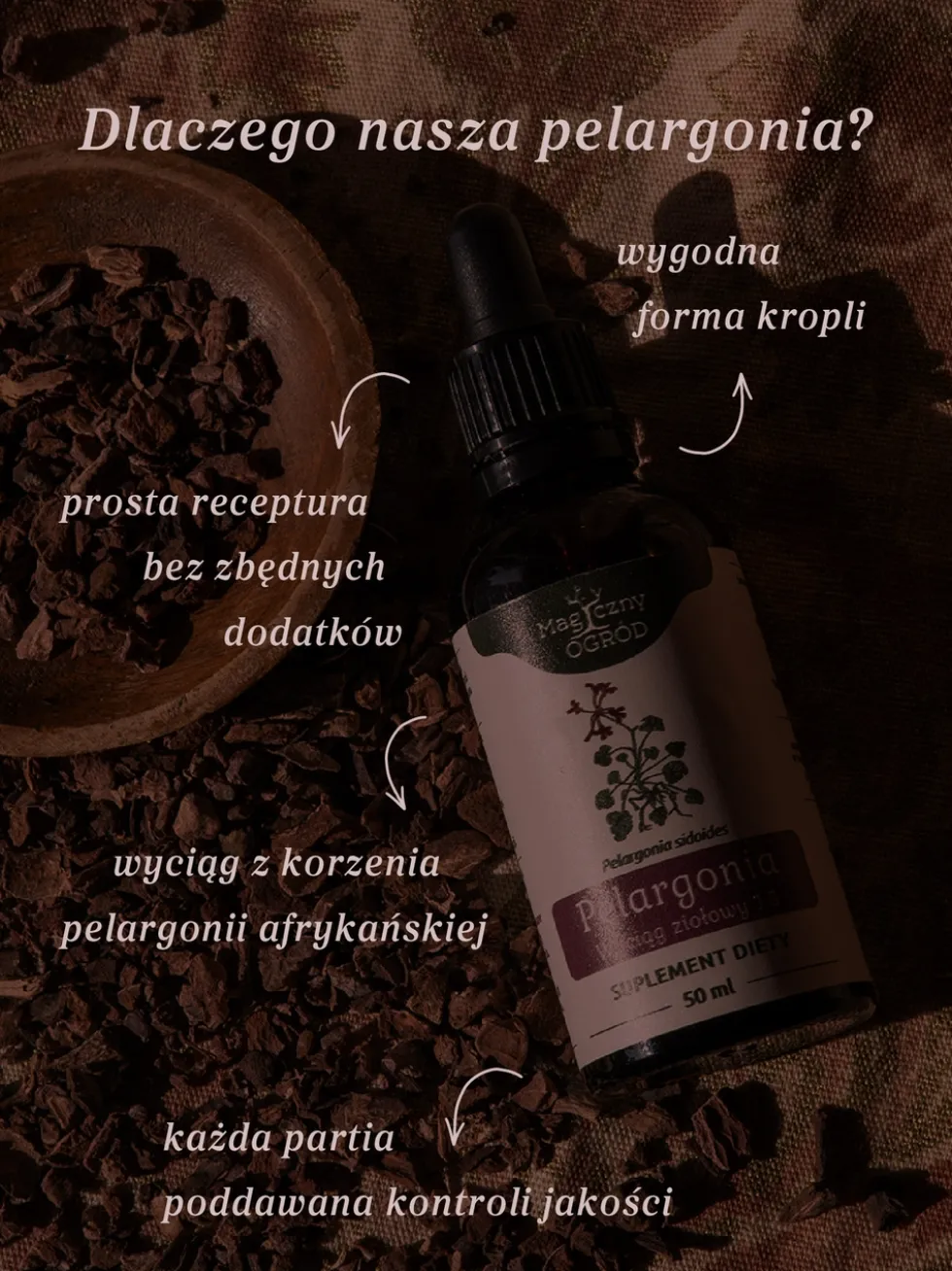Pelargonia afrykańska wyciąg ziołowy 1:5