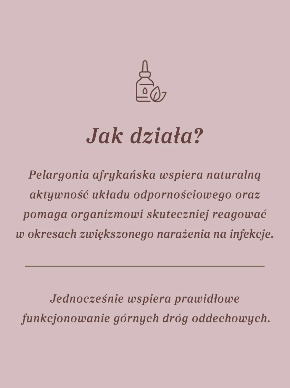Pelargonia afrykańska wyciąg ziołowy 1:5