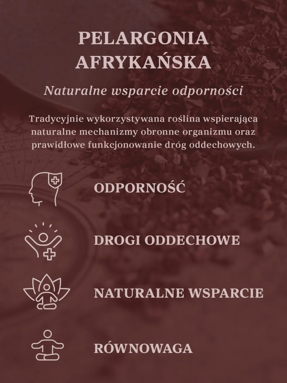 Pelargonia afrykańska wyciąg ziołowy 1:5