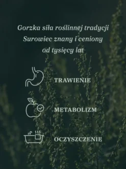 Piołun ziele