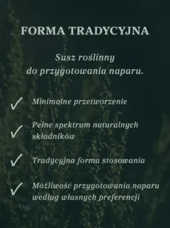 Piołun ziele