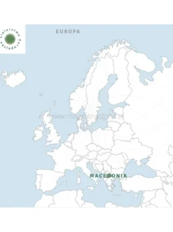 Pokrzywa nasiona