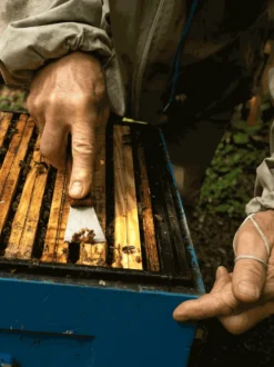 Propolis krople 20%