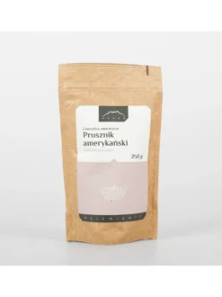 Prusznik korzeń - Ceanothus