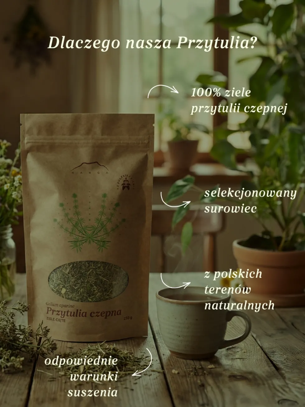 Przytulia czepna ziele
