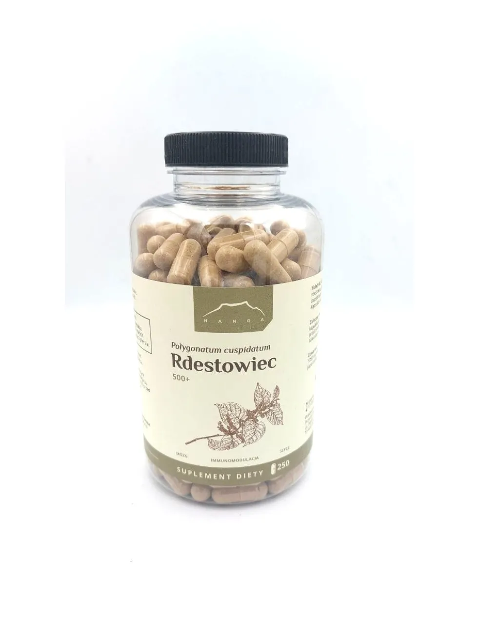 Rdestowiec japoński kapsułki x 500 mg
