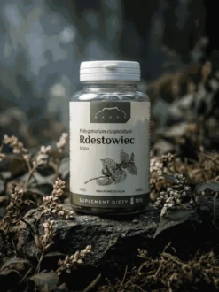 Rdestowiec japoński kapsułki x 500 mg