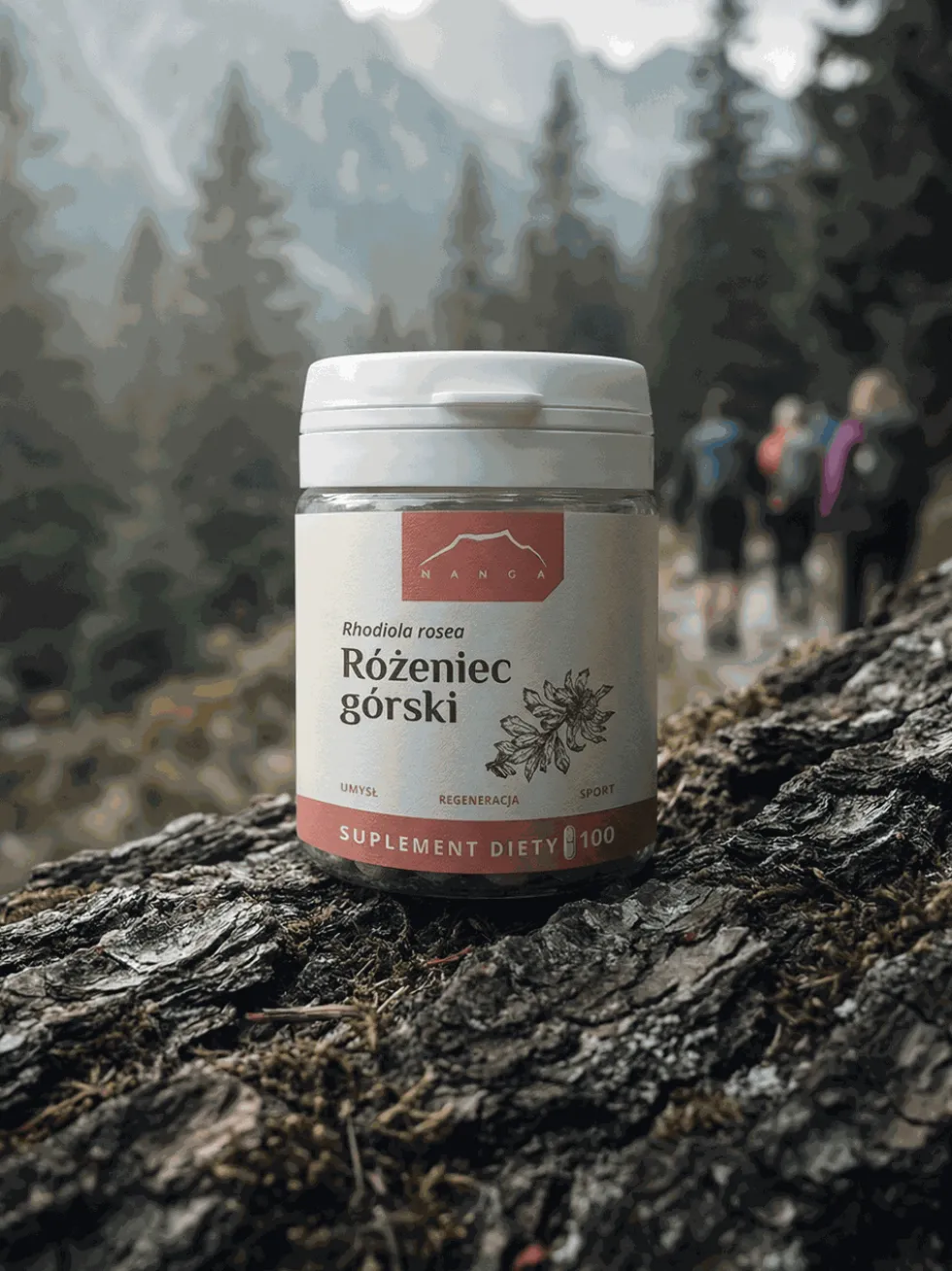 Różeniec górski (rhodiola rosea) kapsułki 100 szt x 165 mg