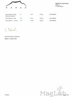 Różeniec górski (rhodiola rosea) kapsułki 100 szt x 165 mg