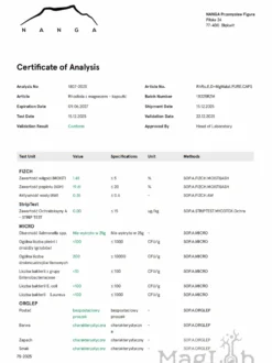 Rhodiola z magnezem kapsułki x 550 mg