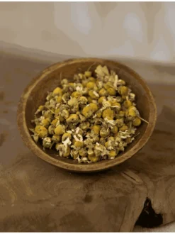 Rumianek kwiat
