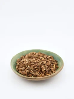 Sarsaparilla indyjska