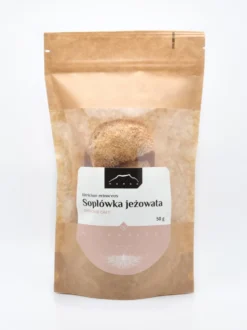 Soplówka jeżowata
