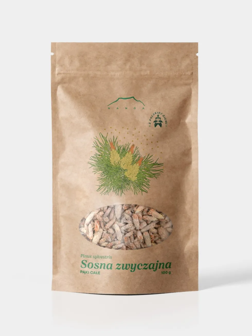 Sosna pączki