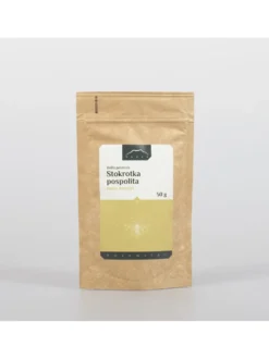 Stokrotka pospolita kwiat