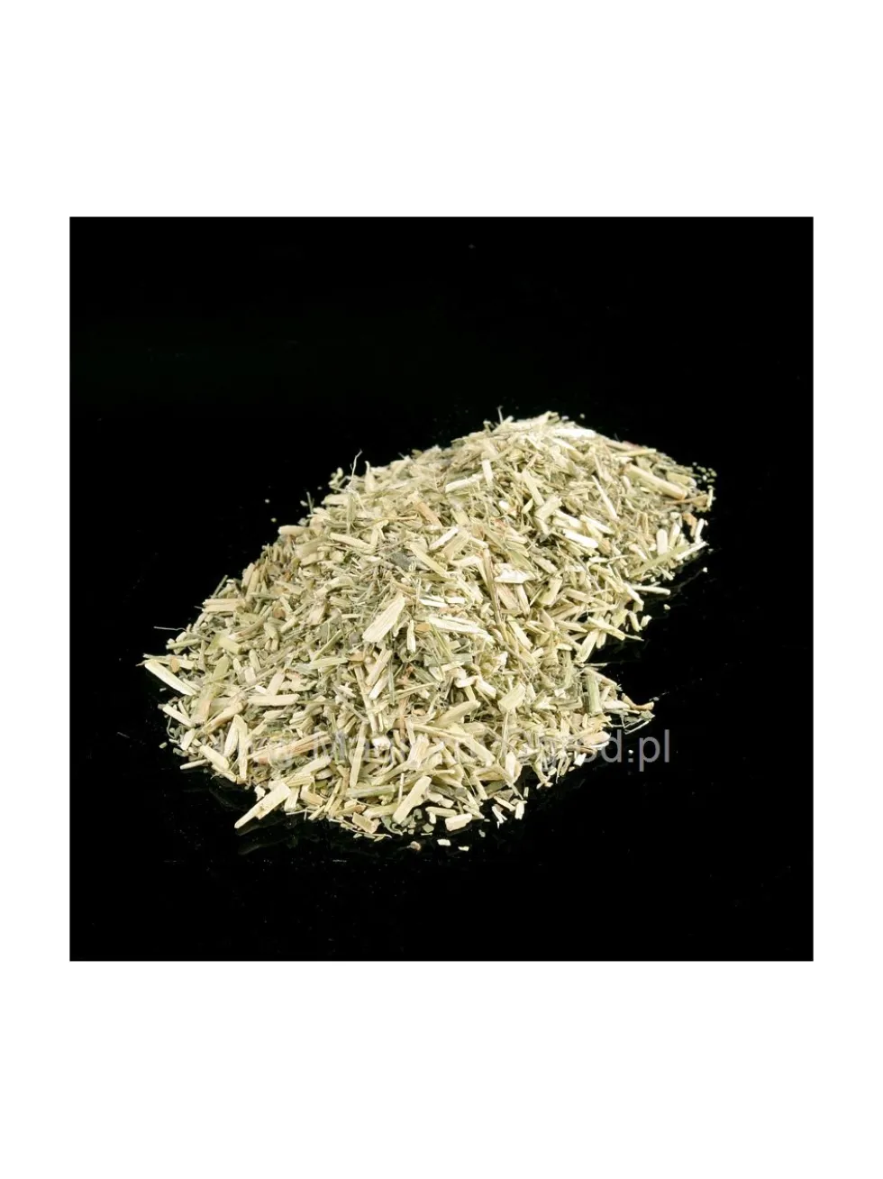 Sutherlandia frutescens liść - wildegansie