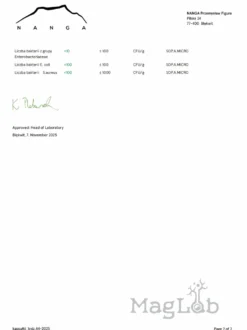 Szafran ekstrakt 60 kapsułek x 125 mg