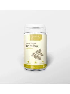 Tribulus Power 60 kapsułek x 500 mg