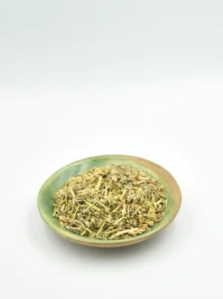 Tribulus terrestris ziele