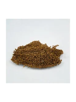 Tu Si Zi - Kanianka