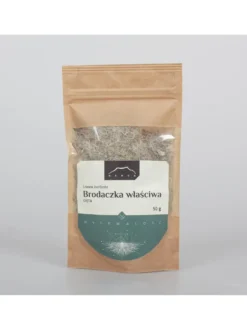 Usnea - brodaczka