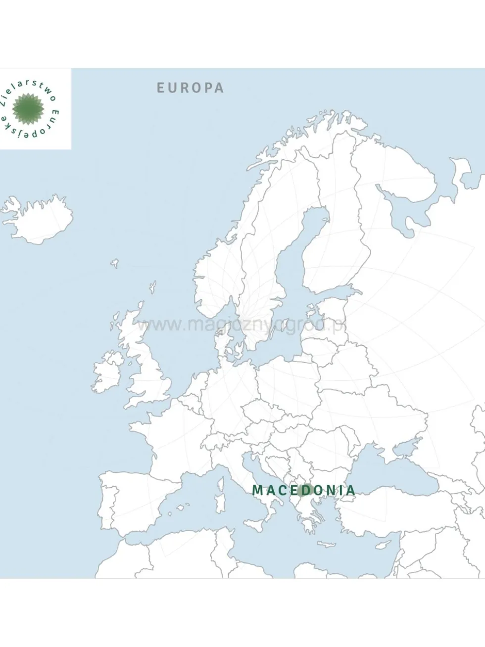 Usnea - brodaczka