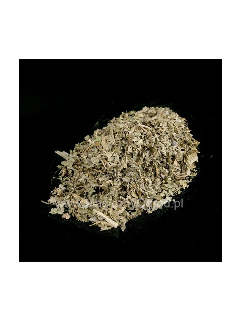 Werbena cytrynowa liść