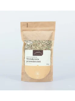 Wiciokrzew przewiercień ziele