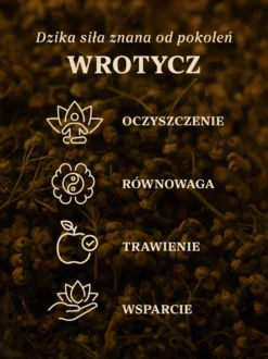 Wrotycz kwiat dziko rosnący