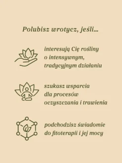 Wrotycz ziele