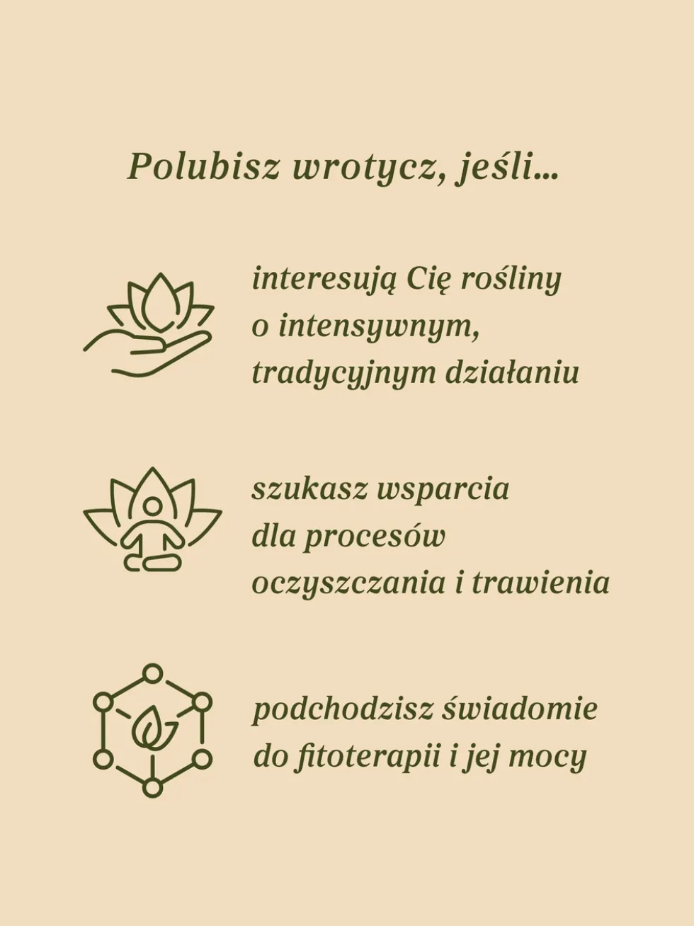 Wrotycz ziele