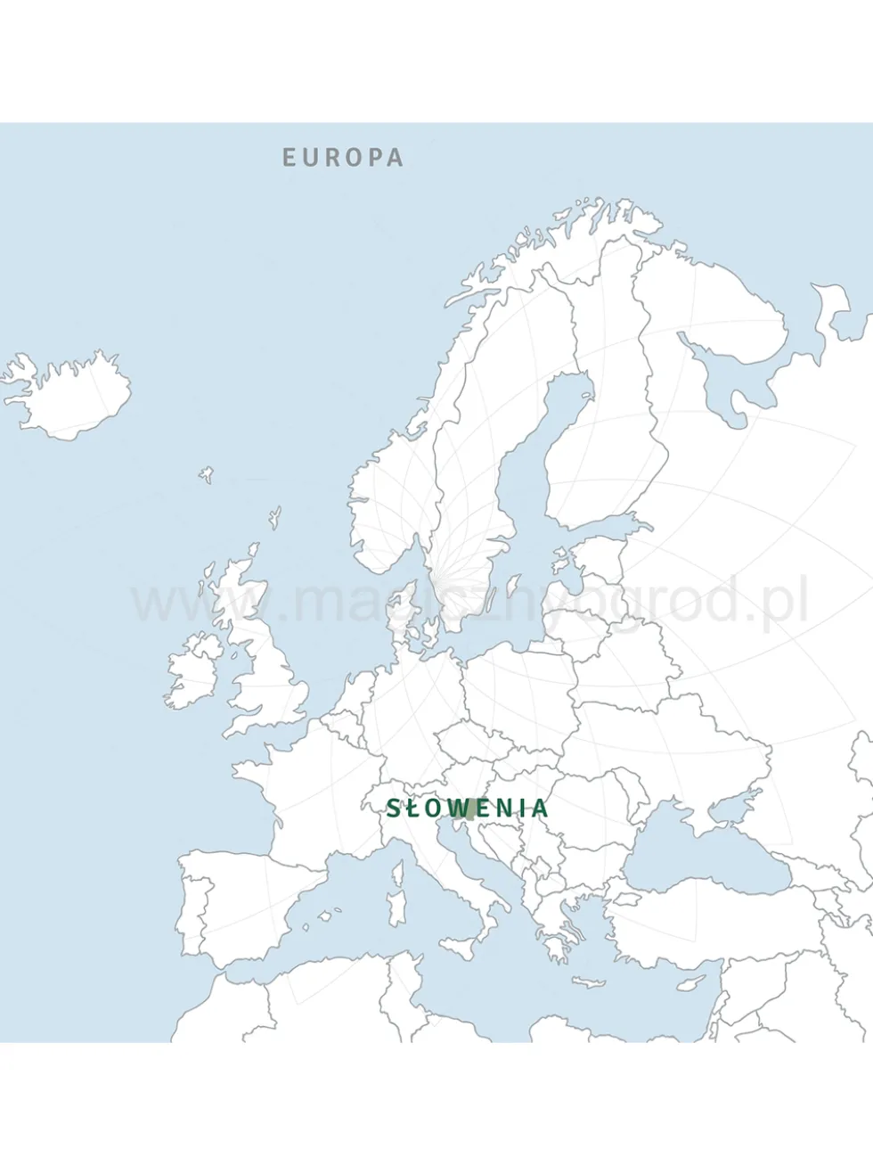Żywica świerka norweskiego